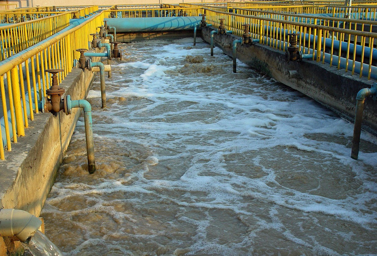 （圖：養(yǎng)殖場(chǎng)污水泡沫池）