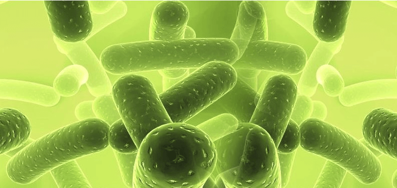 （圖：微生物發(fā)酵）