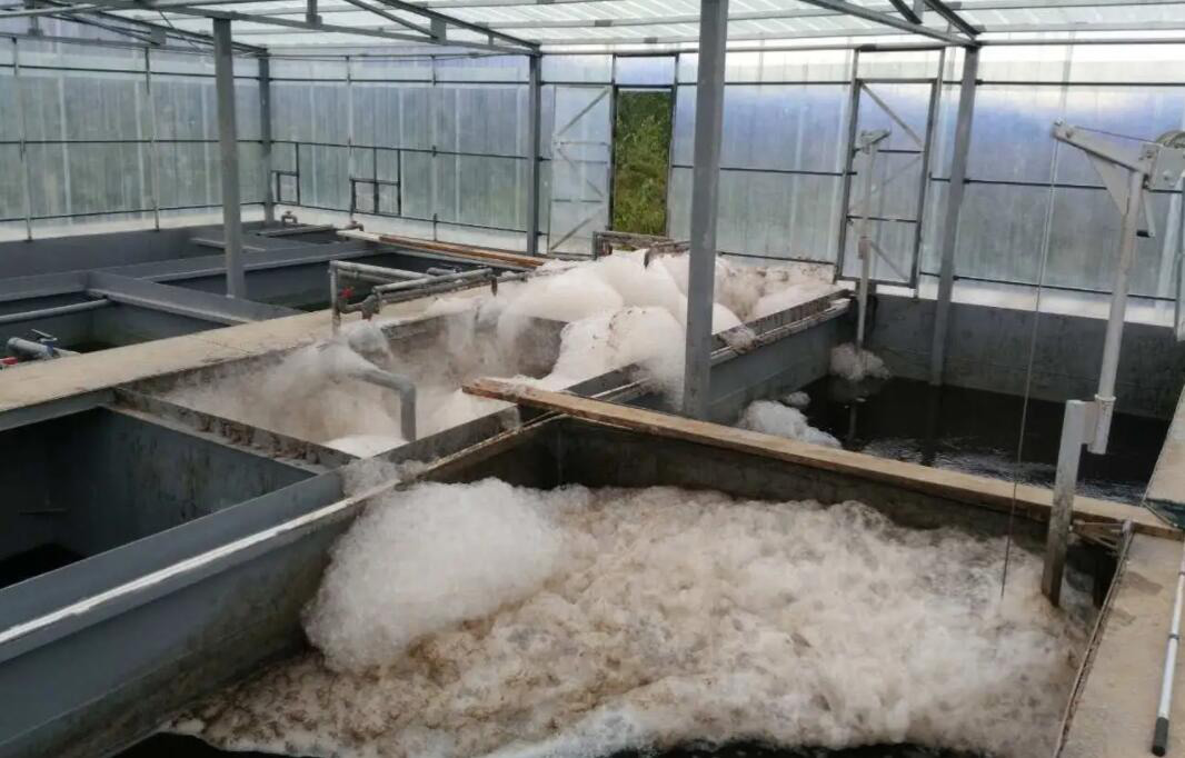 （圖：南輝聚醚水處理消泡劑應用）